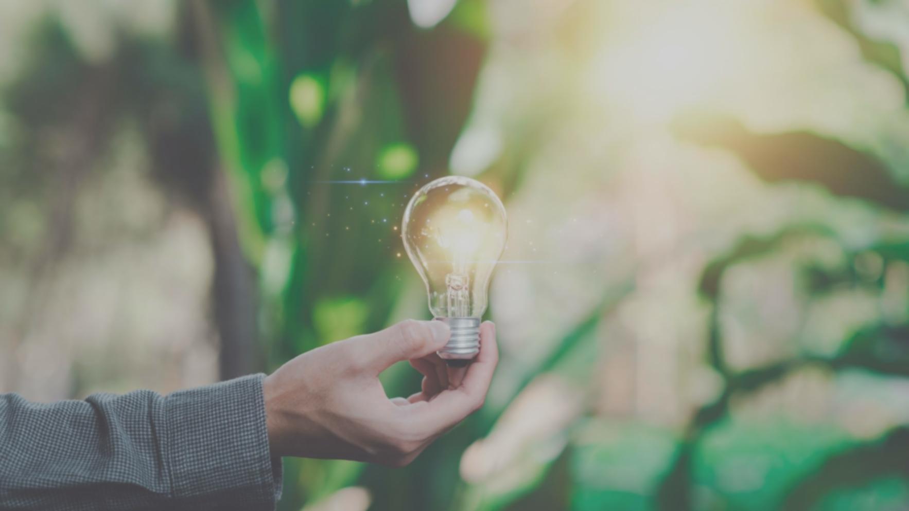 Gemeinsames Lernen in virtuellen Räumen